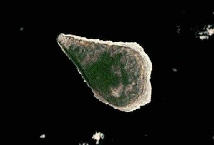 Satellite image of Navassa Island