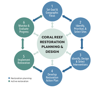 A Manager's Guide to Coral Reef Restoration Planning and Design