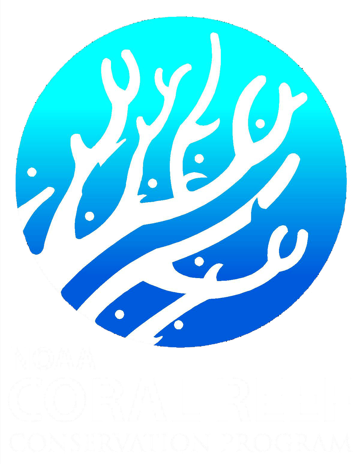 NOAA CoRIS - What are Coral Reefs